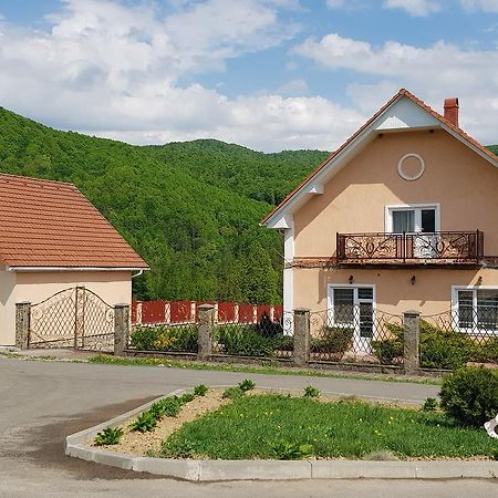 Lara Hotel Solochyn Buitenkant foto